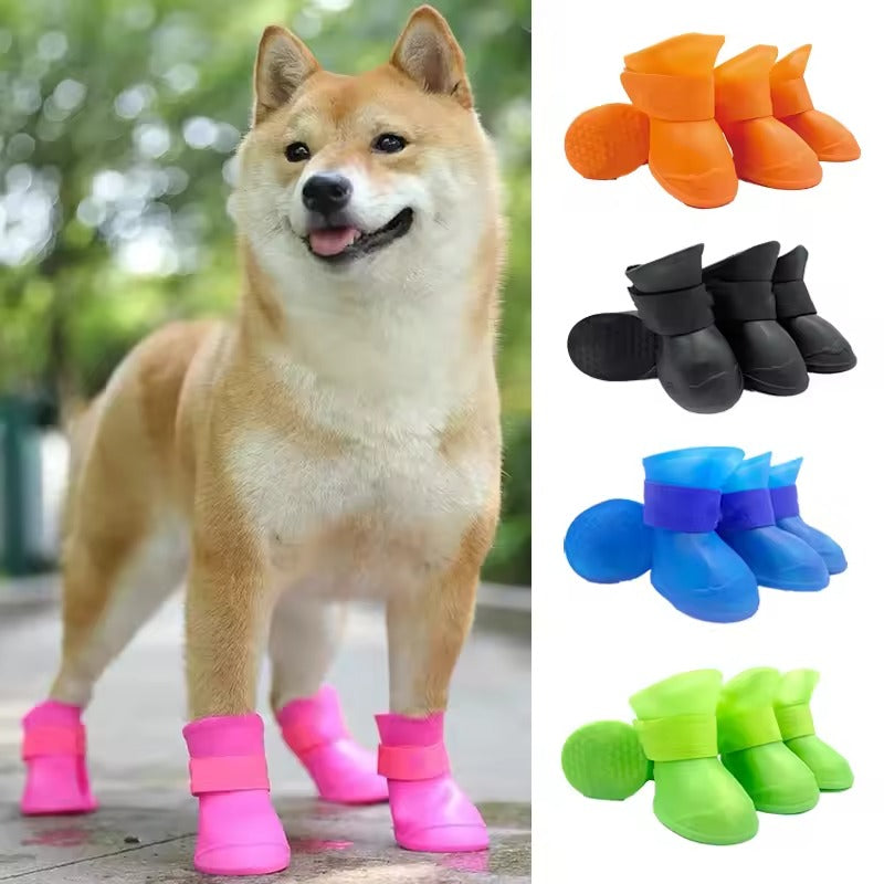 Pet Fashion