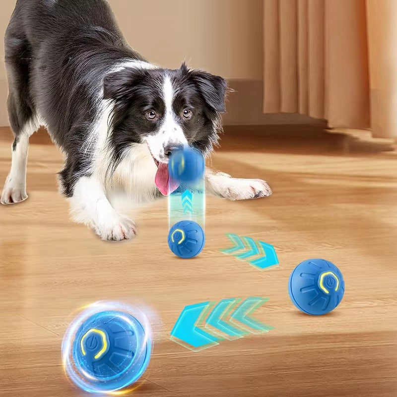 Automatic Moving Dog Toy Ball | USB Rechargeable & Interactive